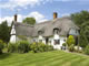 thatch